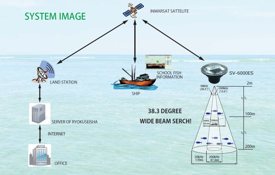 Satellite Buoy System